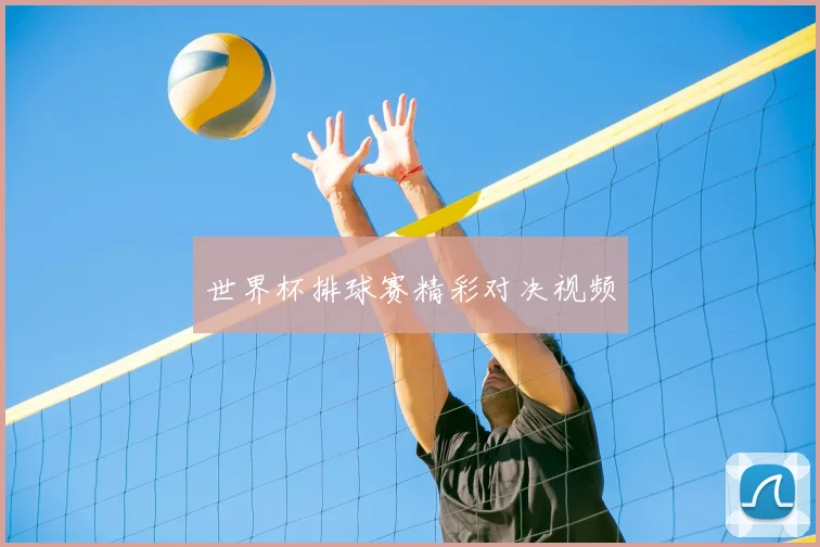世界杯排球赛精彩对决视频