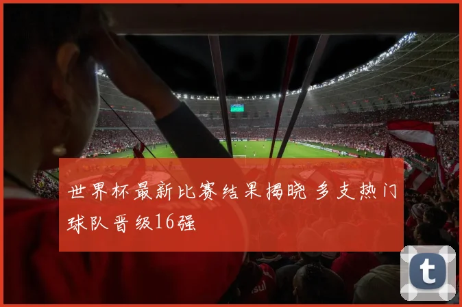 世界杯最新比赛结果揭晓 多支热门球队晋级16强