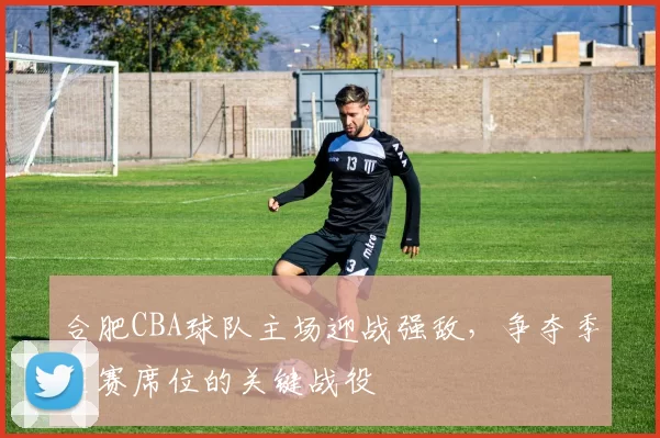 合肥CBA球队主场迎战强敌，争夺季后赛席位的关键战役