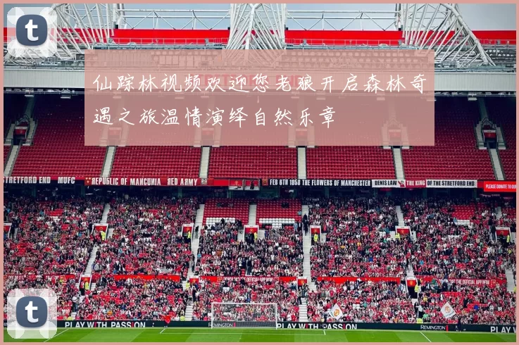 仙踪林视频欢迎您老狼开启森林奇遇之旅温情演绎自然乐章