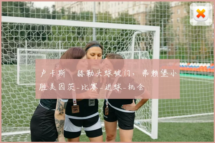 卢卡斯・赫勒头球破门，弗赖堡小胜美因茨_比赛_进球_机会