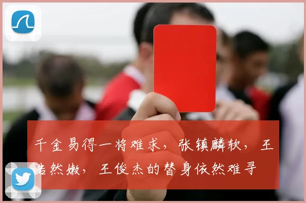 千金易得一将难求，张镇麟软，王浩然嫩，王俊杰的替身依然难寻