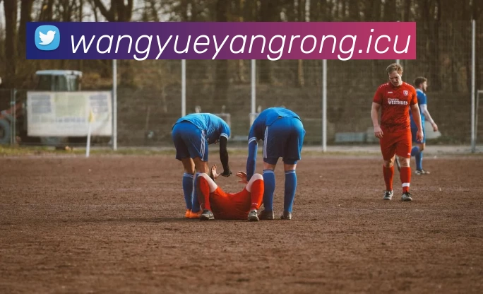 数据防护可视化